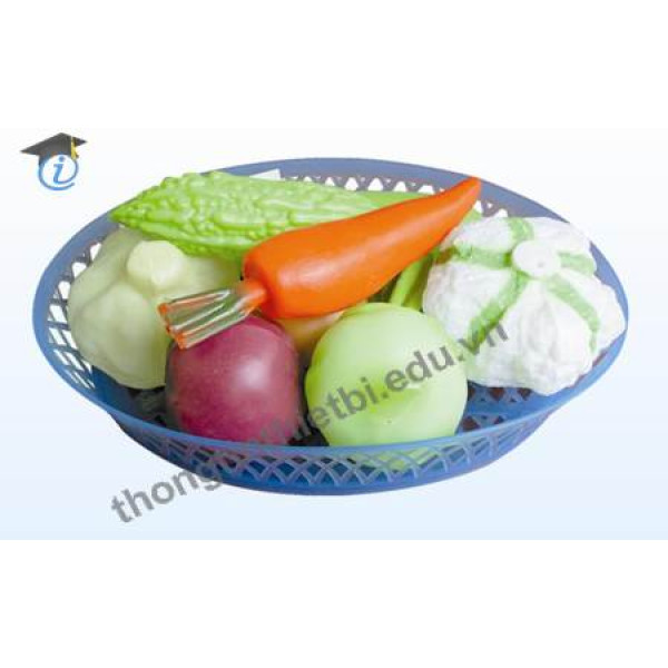 Bộ dinh dưỡng 1 